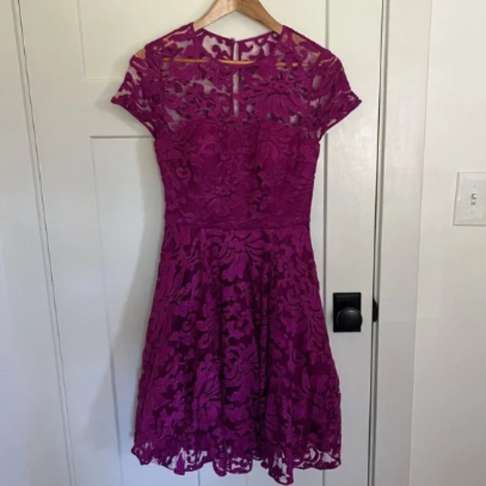 Ted Baker Sheer Floral Overlay Dress